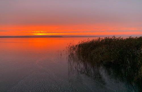 Watermark Usedom - Traumhaus direkt am Wasser mit eigener Badestelle - Haus Woge - Foto 5