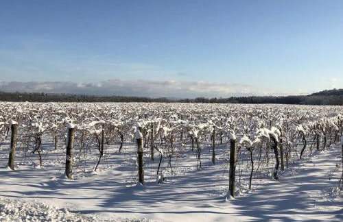 The Sunflower - Hot Tub Hideaway on 13 Wooded Acres - Fire Pit - Lake View - Near Keuka & Seneca Lake - Pet-Friendly - Foto 17