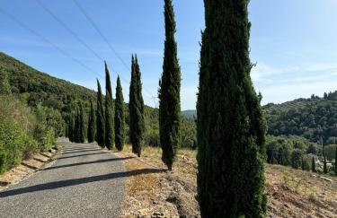 Charming Tuscan Villa Borgo Il Massera - Foto 11