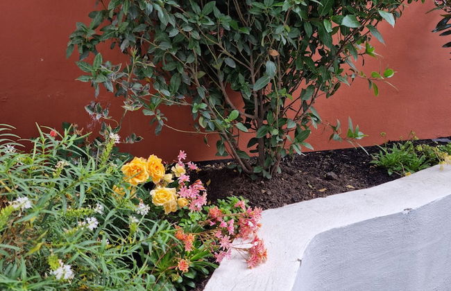 Isla Bonita Suites - Foto 38