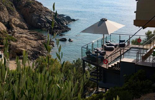 Studio Kalogridis - Foto 37