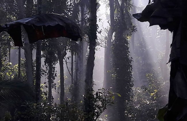 Room-wayanad Stay the Pepper Suite - Foto 9