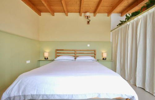 El Sol de la Mañana - Foto 6