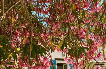 La Bastide Blanche Magnifique villa 5 étoiles 5 chambres et piscine privée sur 6500 m VAR - Foto 53