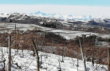 La Giribaldina Winery & Farmhouse - Foto 49