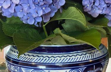 Vila Aurora - Foto 19