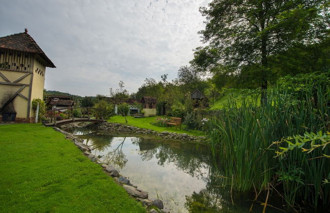 Country House Stara Kapela - Foto 35