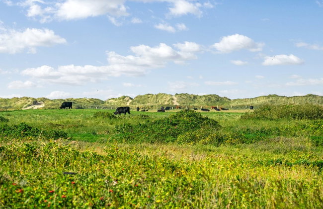 "Mortensen" - 350m from the sea - Photo 10