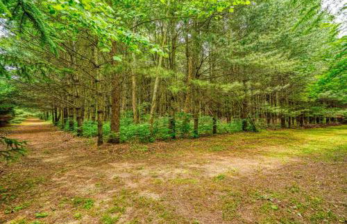 Swaying Pines Cabin w/EV Charger - Foto 27