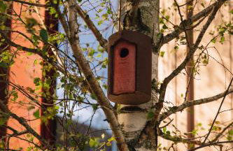 The Eades Store Projects Studio - Foto 59