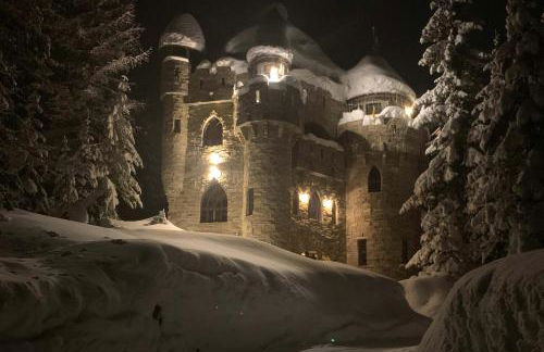 Schweitzer Castle - Foto 53