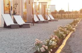 Terras - Agroturismo & Vinhos - Foto 9