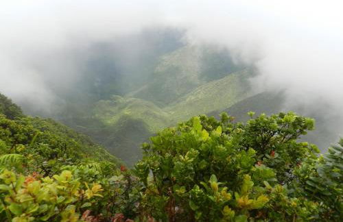Ka Hale Kealoha - Foto 22