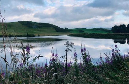 Lake view Romantic retreat - Foto 9