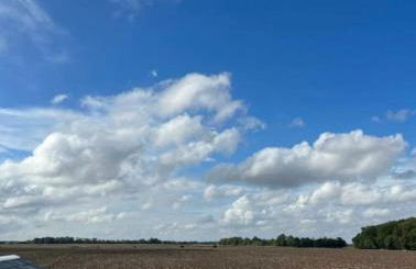 17 Sherringham Patrington Leisure Park private garden, parking, views - Foto 22