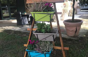 Agriturismo a casa di Susanna - Foto 55