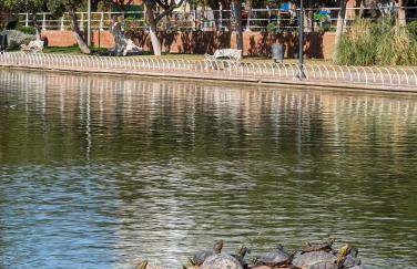 Apartamiento con naranjas - Foto 63