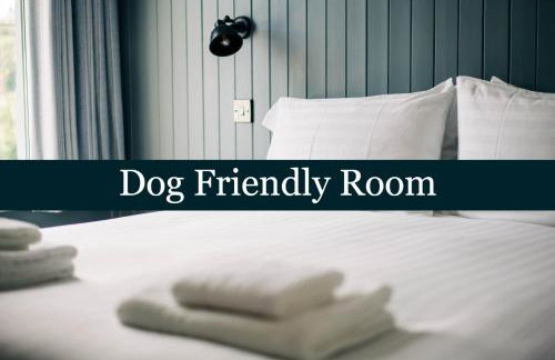 Bryn Berwyn Country House Tresaith - Foto 13