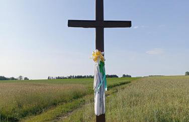 Dom na wsi u Kasi HAJNÓWKA BIAŁOWIEŻA NA WYŁĄCZNOŚĆ - Foto 40