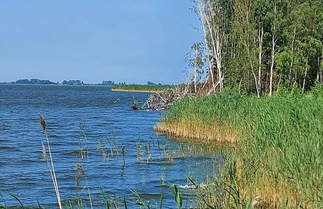 Luxus Reetdachhaus in Fuhlendorf mit Sauna - Foto 26