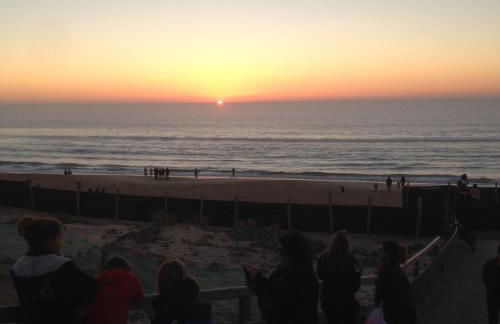 Residence Oceanis - Foto 28