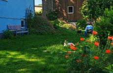 Ferienhaus VILLA ZAUBERBLICK am Rennsteig Frankenwald FREISTEHEND naturnah HUNDEFREUNDLICH eingezäunt - Foto 54