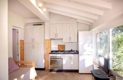 FINCA PALMERS DOS - Photo 10