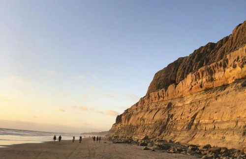 Walk to Torrey Pines Beach! Beachwalk Bungalow - Photo 31