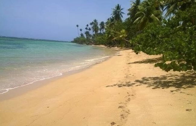 Tropical Paradise Retreat in Las Terrenas - Foto 25