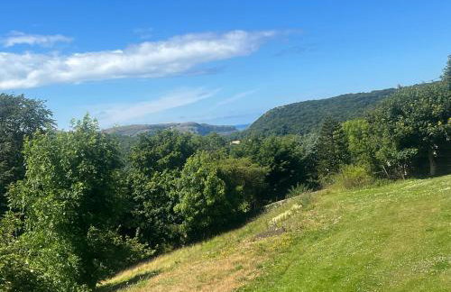 The Manor House Skerry Vore - Foto 71