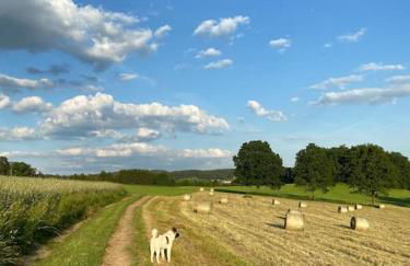 Schönes Apartment / Ferienwohnung am Regen - Foto 20