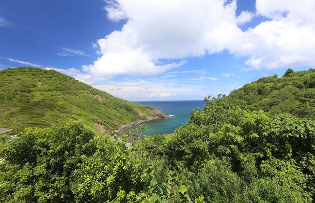 Xhale Luxury Villa - Foto 26