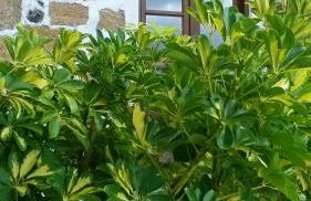 Casa Rural La Cuadra - Foto 49