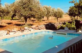 Paraíso a Dois em Estremoz - Foto 43