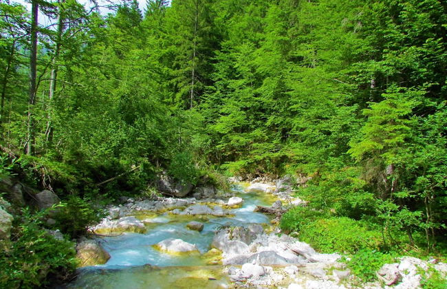 Pool Villa Katja Kranjska Gora - Foto 28