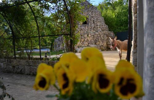 Agriturismo Tholos - Photo 43