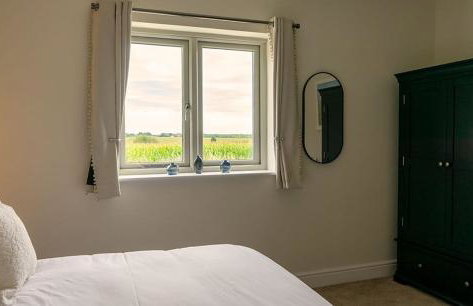 Cornflower - Foto 17