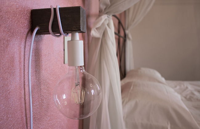 Fattoria L'Olmetto - Foto 30