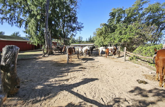 Turtle Bay Fazio First Tee 13***nuc 90-tvu-0579 1 Bedroom Condo by RedAwning - Foto 22