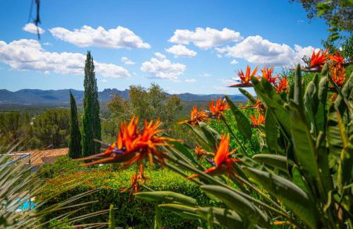 Villa 10 people private pool near Saint-Tropez - Foto 46