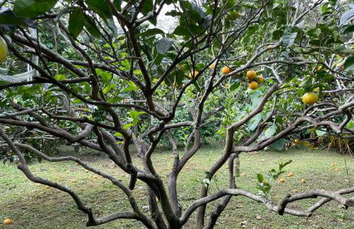 Bicycle Villas - AL - Photo 61