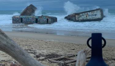 Amarine Landaise - Foto 2