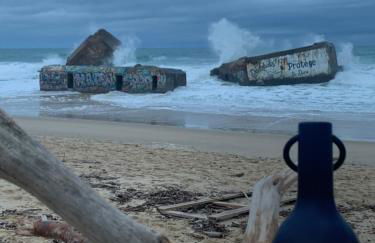 Amarine Landaise - Foto 2