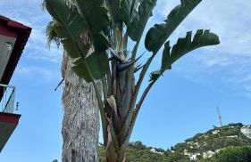 Casa con vistas al mar y piscina privada - Foto 50