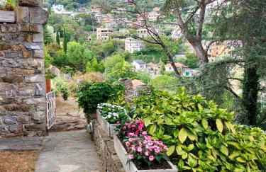 ROCCA DI SAN MICHELE - Foto 20