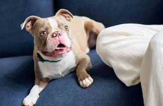 Rusk House Serviced Apartments - Foto 36