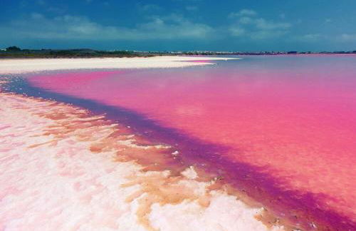 Villamartin Gardens Orihuela Costa - Foto 37