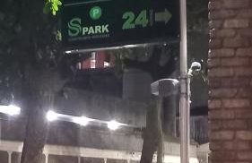 Top location at Flamengo-Rio de Janeiro - Foto 9