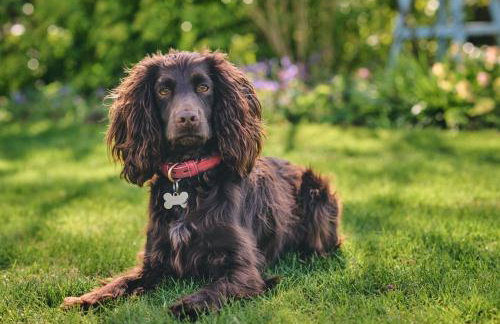 Hockham Grange - Foto 80