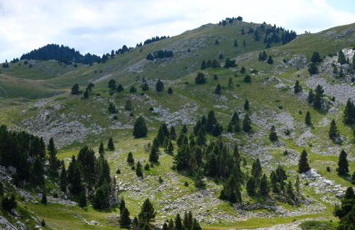 Gite des Rosiers - Foto 31